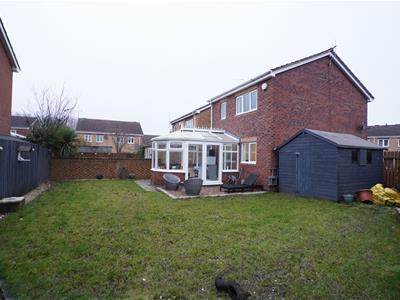 Picture 11
